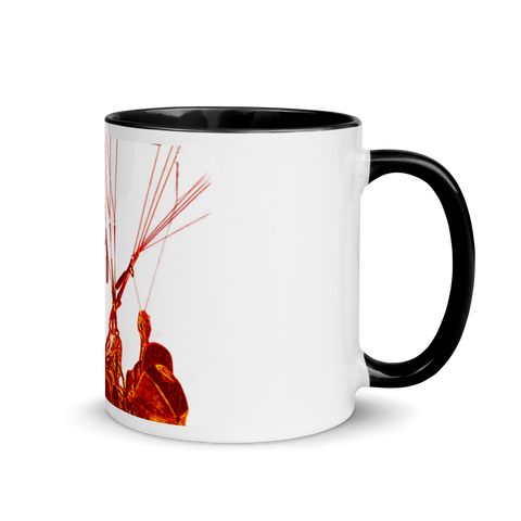 ABC's Mug with Color Inside